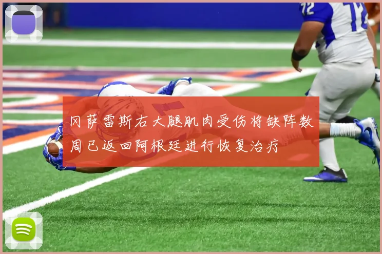 冈萨雷斯右大腿肌肉受伤将缺阵数周已返回阿根廷进行恢复治疗